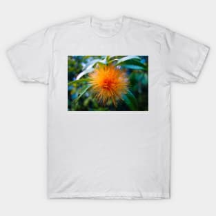 Orange Ohia 2 T-Shirt